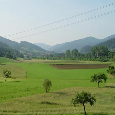 Oberbauernhof - Schwarzwaldstube -- Erholung Par Excellence, Wellness And Private Gutach