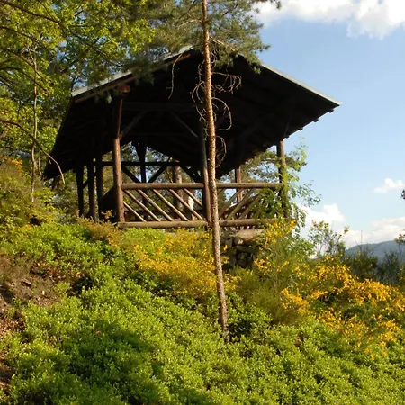 Appartement Oberbauernhof - Schwarzwaldstube -- Erholung Par Excellence, Wellness And Private Gutach