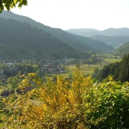 Oberbauernhof - Schwarzwaldstube -- Erholung Par Excellence, Wellness And Private * جوتاخ